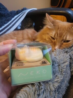 Radius Neko Wireless Earphone - Orange Tabby Not Included